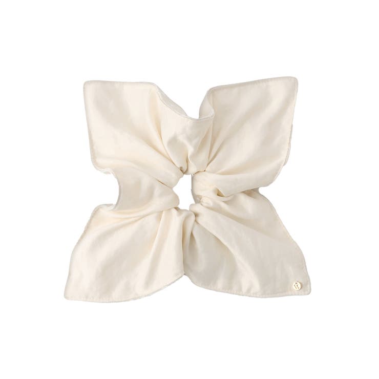 レースコンビシュシュ | VIS  | 詳細画像10 