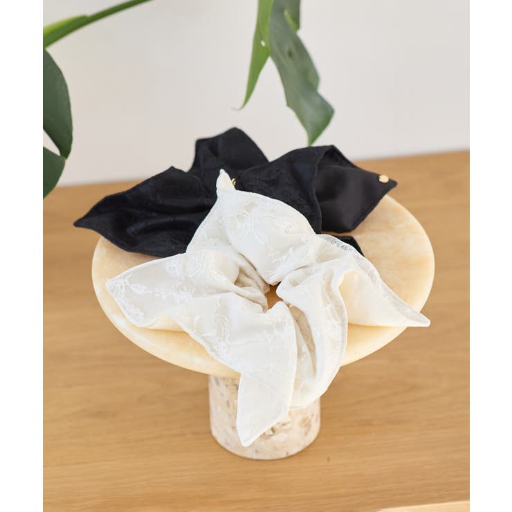 レースコンビシュシュ | VIS  | 詳細画像2 