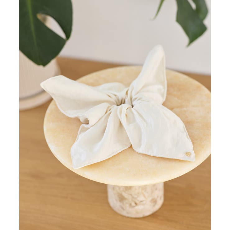 レースコンビシュシュ | VIS  | 詳細画像3 