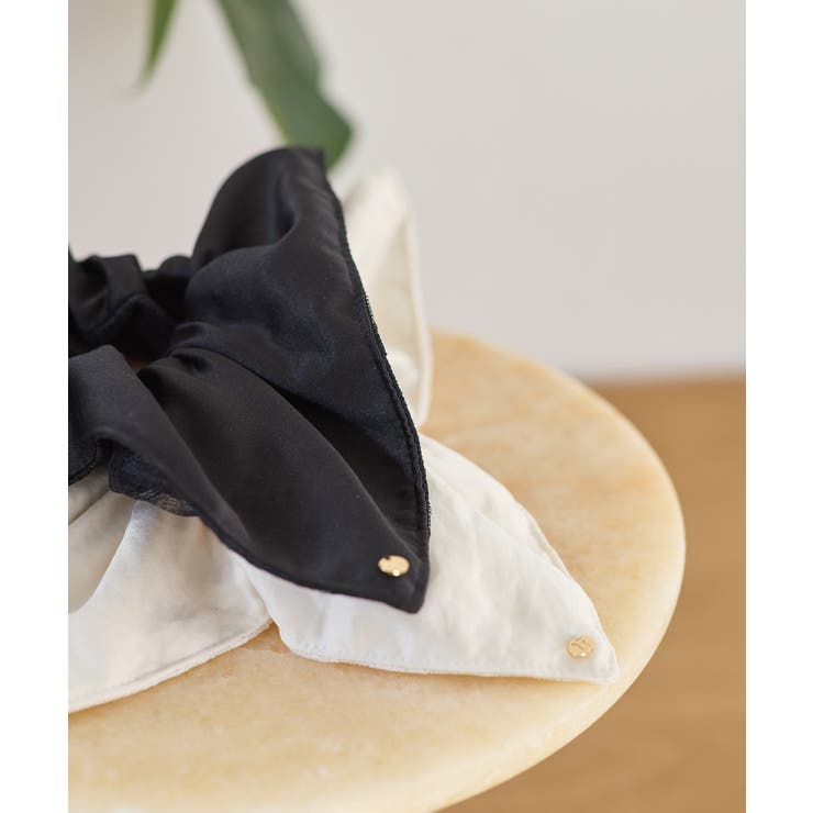 レースコンビシュシュ | VIS  | 詳細画像4 