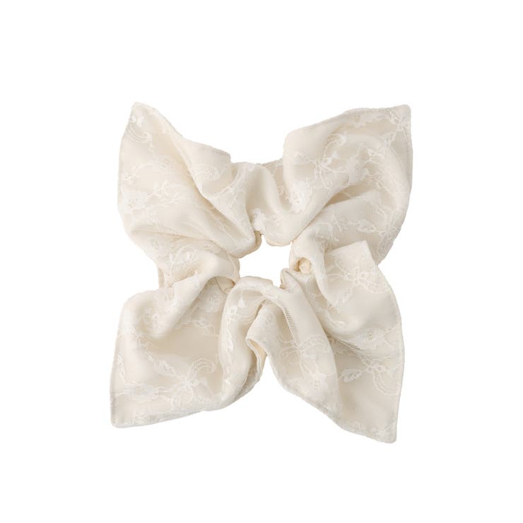 レースコンビシュシュ | VIS  | 詳細画像9 