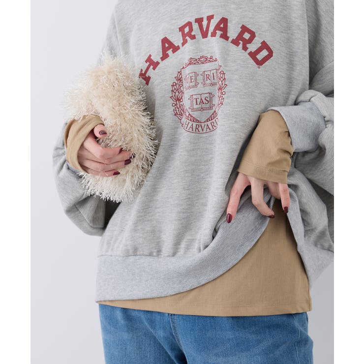 ブラウン(22) | 新色追加/シアーカットクルーネックプルオーバー | ROPE' PICNIC