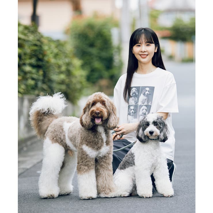 【comif(コミフ)×ROPE' PICNIC】アソートTシャツ | ROPE' PICNIC | 詳細画像4 