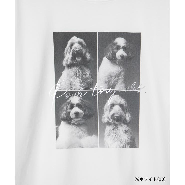 【comif(コミフ)×ROPE' PICNIC】アソートTシャツ | ROPE' PICNIC | 詳細画像50 