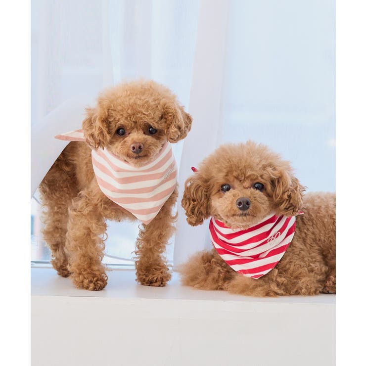 【DOG】バンダナ スカーフ | ROPE' PICNIC | 詳細画像11 