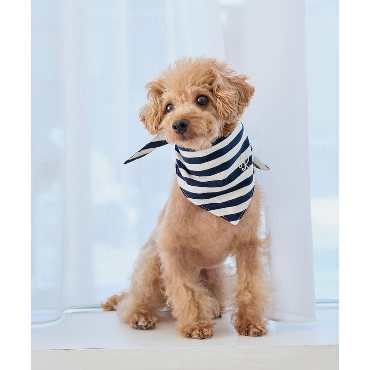 【DOG】バンダナ スカーフ | ROPE' PICNIC | 詳細画像2 