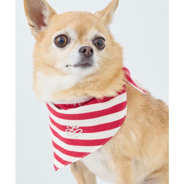 【DOG】バンダナ スカーフ | ROPE' PICNIC | 詳細画像5 