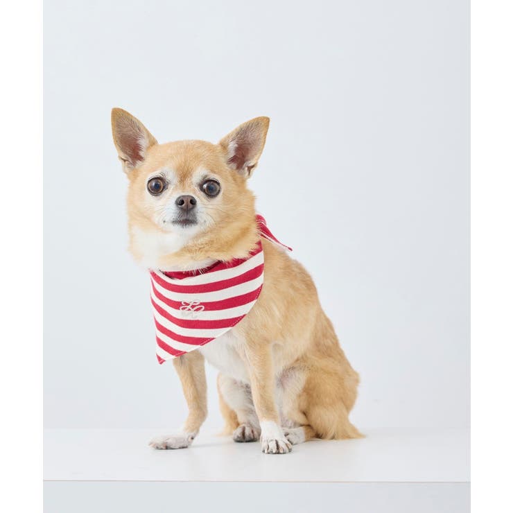 【DOG】バンダナ スカーフ | ROPE' PICNIC | 詳細画像6 