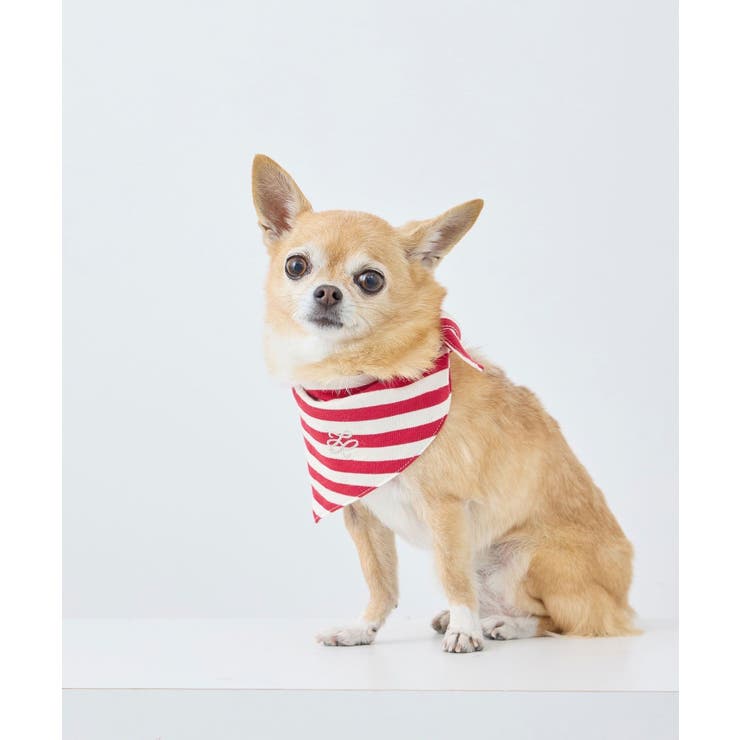 【DOG】バンダナ スカーフ | ROPE' PICNIC | 詳細画像7 