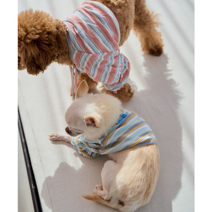 【DOG】マルチボーダーリブボレロ | ROPE' PICNIC | 詳細画像10 