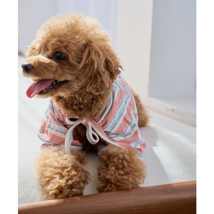 【DOG】マルチボーダーリブボレロ | ROPE' PICNIC | 詳細画像11 