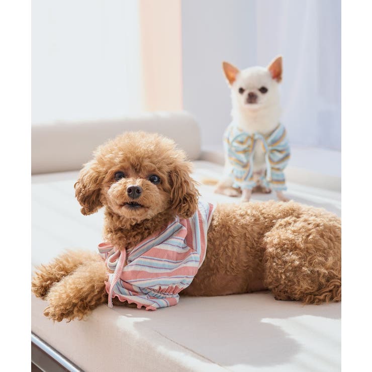 【DOG】マルチボーダーリブボレロ | ROPE' PICNIC | 詳細画像12 