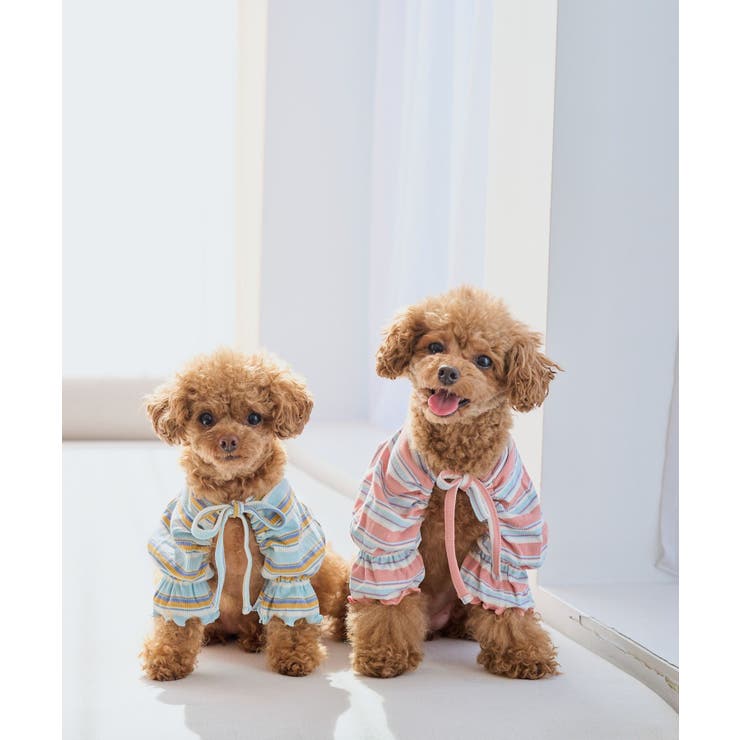 【DOG】マルチボーダーリブボレロ | ROPE' PICNIC | 詳細画像13 