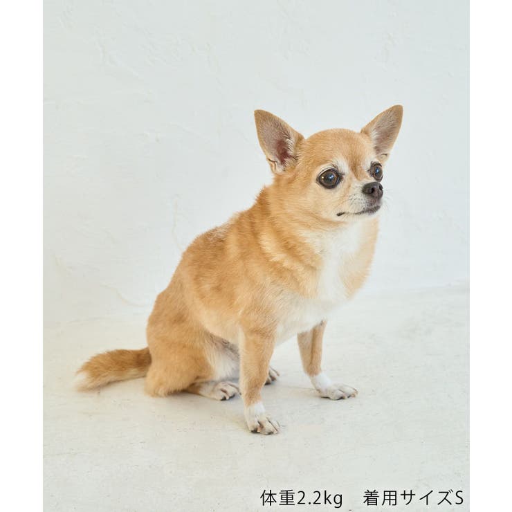 【DOG】マルチボーダーリブボレロ | ROPE' PICNIC | 詳細画像17 