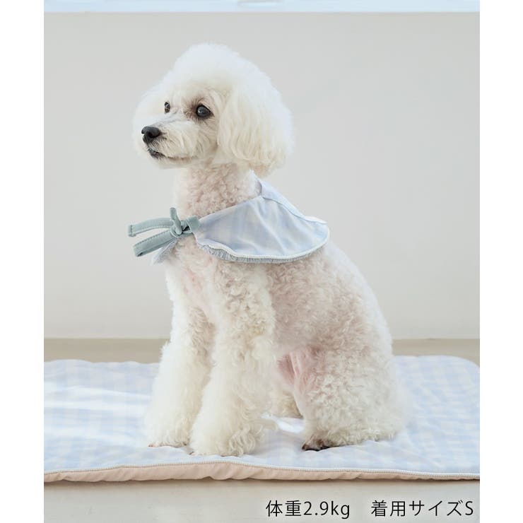 【DOG】マルチボーダーリブボレロ | ROPE' PICNIC | 詳細画像18 