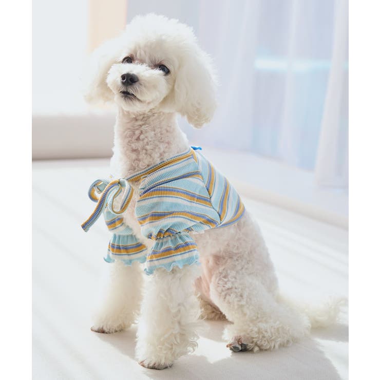 【DOG】マルチボーダーリブボレロ | ROPE' PICNIC | 詳細画像2 