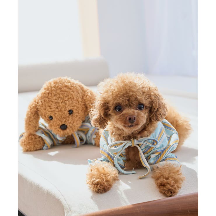 【DOG】マルチボーダーリブボレロ | ROPE' PICNIC | 詳細画像7 