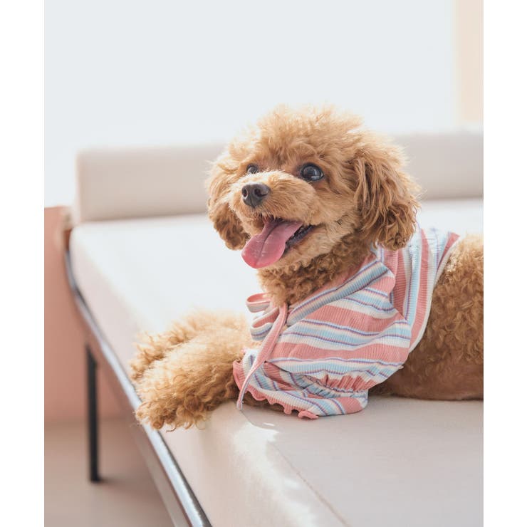 ピンク(63) | 【DOG】マルチボーダーリブボレロ | ROPE' PICNIC