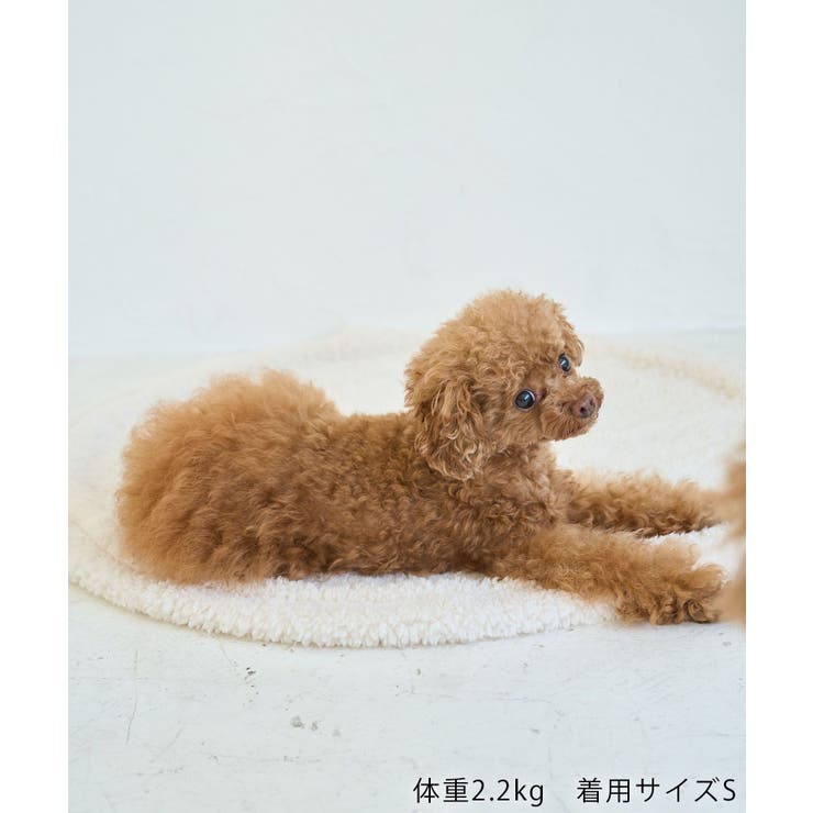 【DOG】スエットライク刺繍ニット/リンクコーデ | ROPE' PICNIC | 詳細画像28 