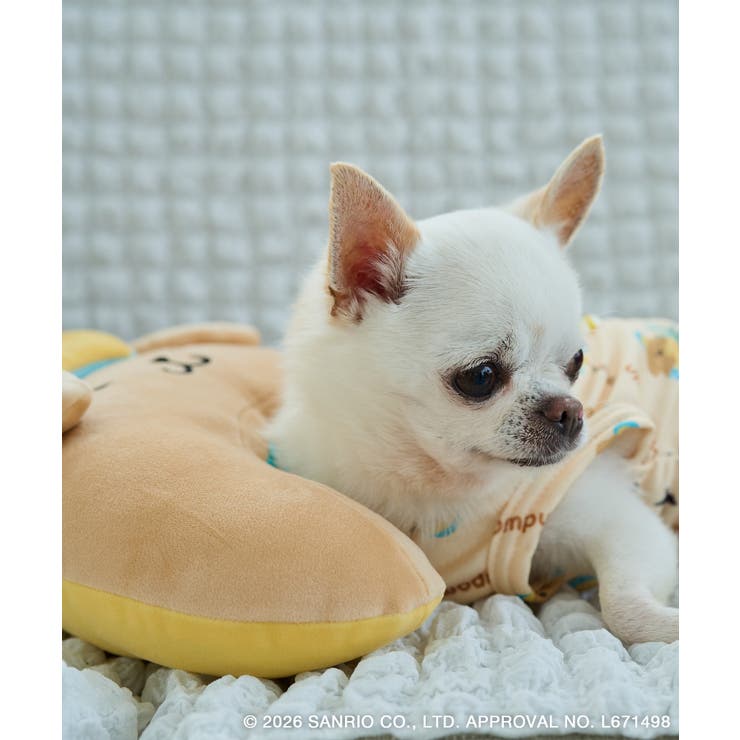 【サンリオキャラクターズ×ROPE PICNIC】【DOG】日焼けデザイン あご… | ROPE' PICNIC | 詳細画像27 