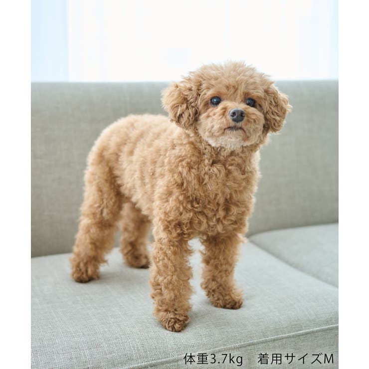 【サンリオキャラクターズ×ROPE PICNIC】【DOG】日焼けデザイン あご… | ROPE' PICNIC | 詳細画像43 