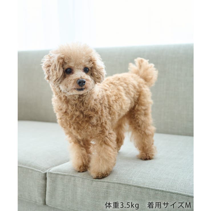 【サンリオキャラクターズ×ROPE PICNIC】【DOG】日焼けデザイン あご… | ROPE' PICNIC | 詳細画像44 