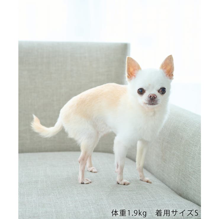 【サンリオキャラクターズ×ROPE PICNIC】【DOG】日焼けデザイン あご… | ROPE' PICNIC | 詳細画像45 