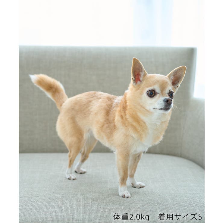 【サンリオキャラクターズ×ROPE PICNIC】【DOG】日焼けデザイン あご… | ROPE' PICNIC | 詳細画像46 