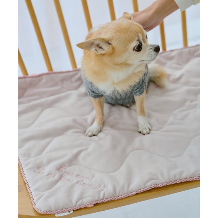 【DOG】もちもちマット | ROPE' PICNIC | 詳細画像1 