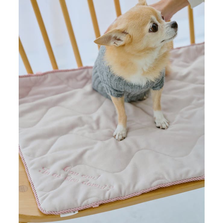 【DOG】もちもちマット | ROPE' PICNIC | 詳細画像3 