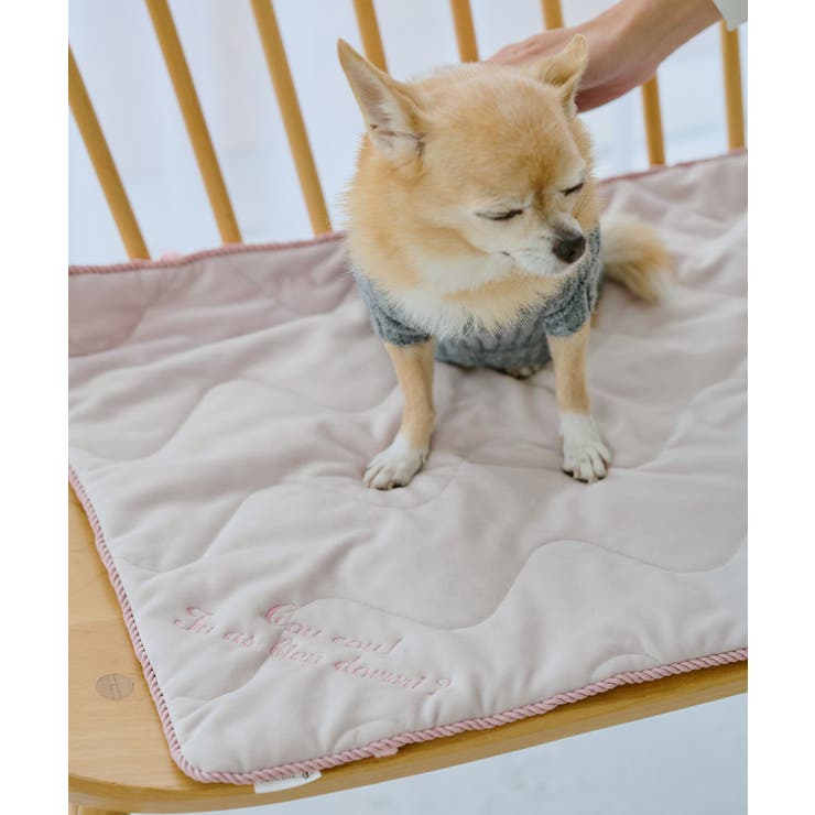 【DOG】もちもちマット | ROPE' PICNIC | 詳細画像4 