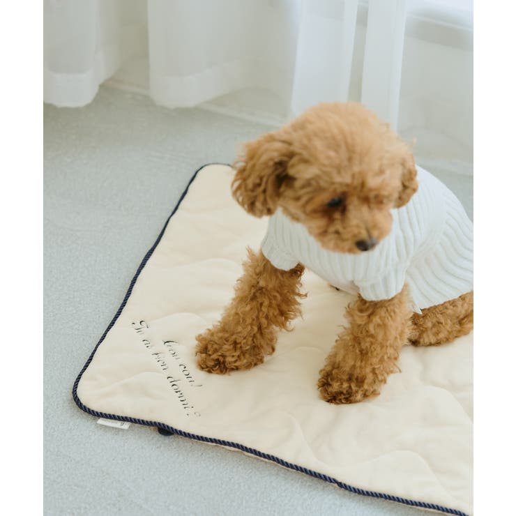 【DOG】もちもちマット | ROPE' PICNIC | 詳細画像6 
