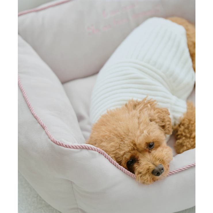 【DOG】もちもちベッド | ROPE' PICNIC | 詳細画像3 