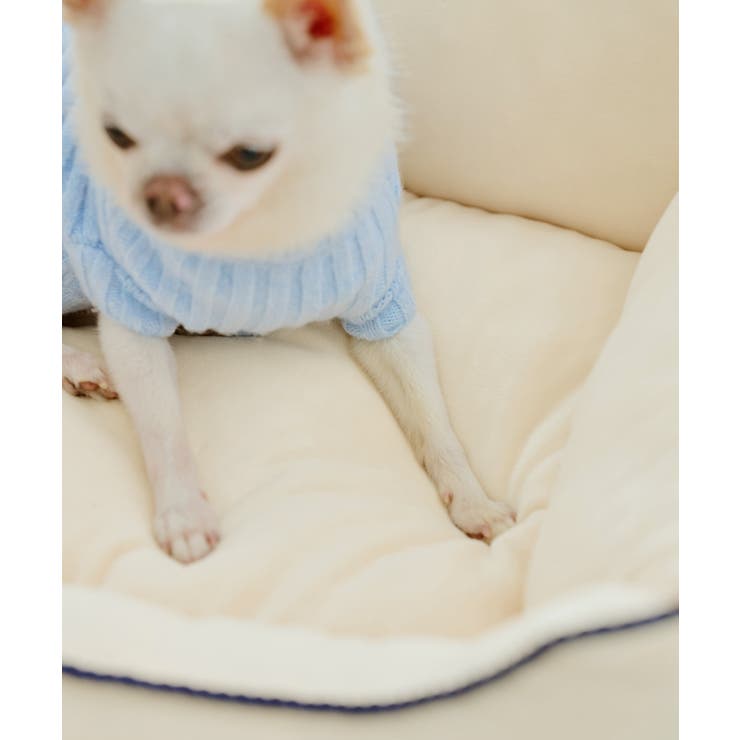 【DOG】もちもちベッド | ROPE' PICNIC | 詳細画像8 