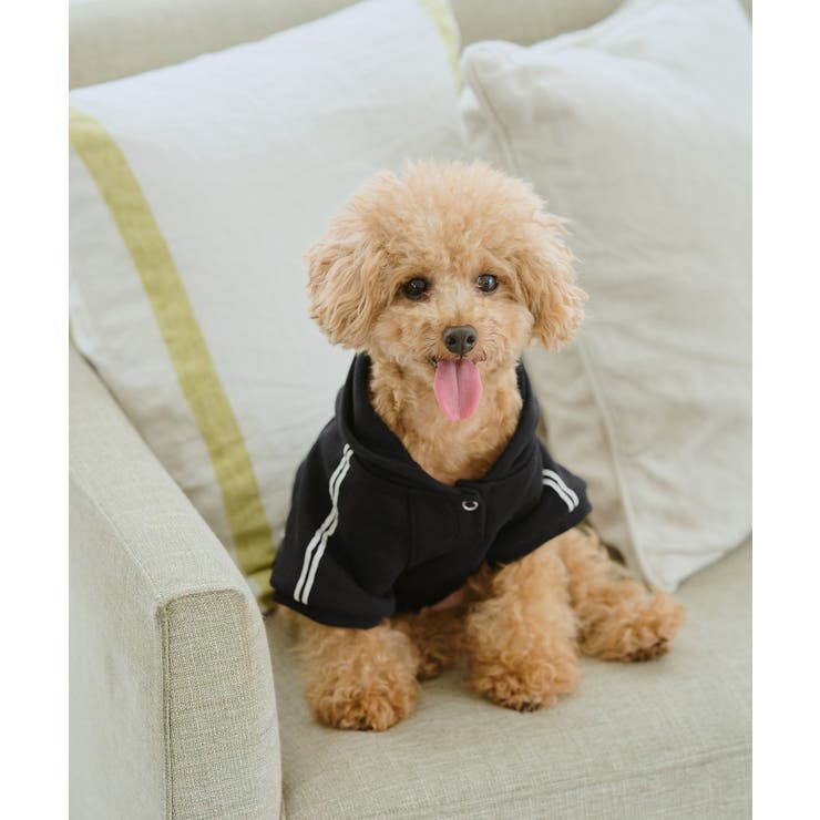 【DOG】サイドラインパーカー/リンクコーデ | ROPE' PICNIC | 詳細画像4 