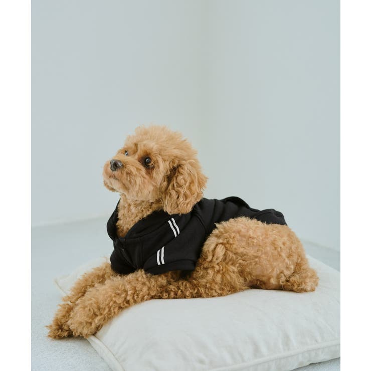 【DOG】サイドラインパーカー/リンクコーデ | ROPE' PICNIC | 詳細画像7 