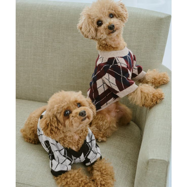 【DOG】アーガイルニットプルオーバー | ROPE' PICNIC | 詳細画像12 