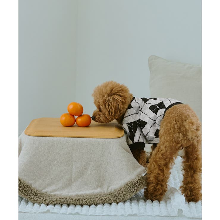 【DOG】アーガイルニットプルオーバー | ROPE' PICNIC | 詳細画像13 