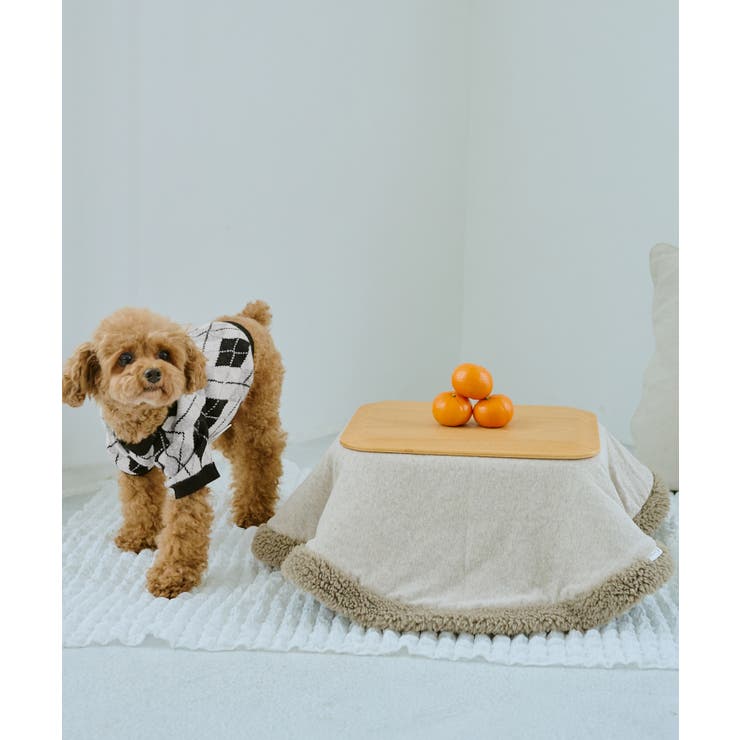 【DOG】アーガイルニットプルオーバー | ROPE' PICNIC | 詳細画像14 