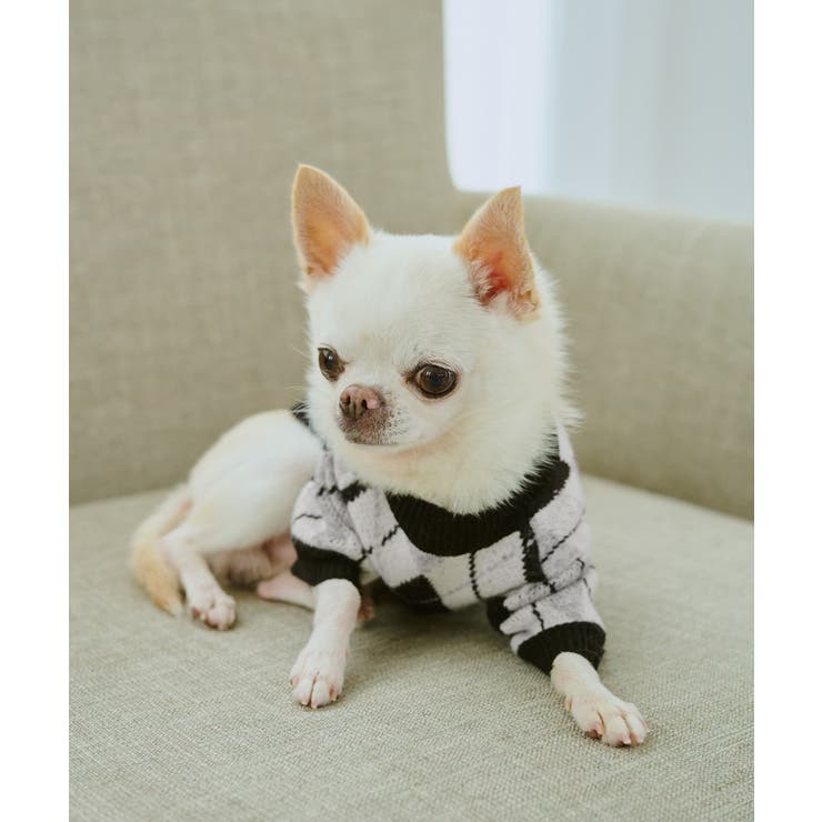 【DOG】アーガイルニットプルオーバー | ROPE' PICNIC | 詳細画像2 