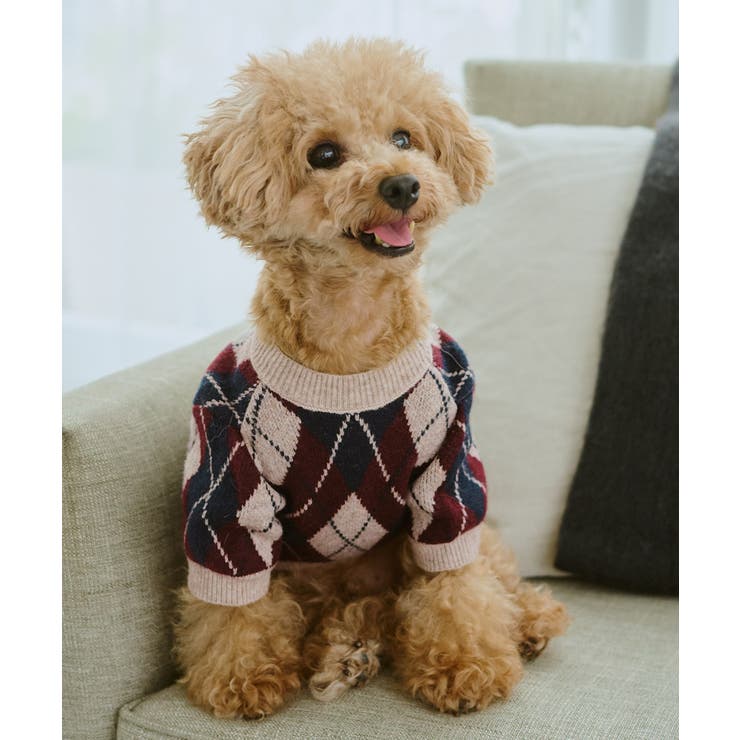 【DOG】アーガイルニットプルオーバー | ROPE' PICNIC | 詳細画像3 