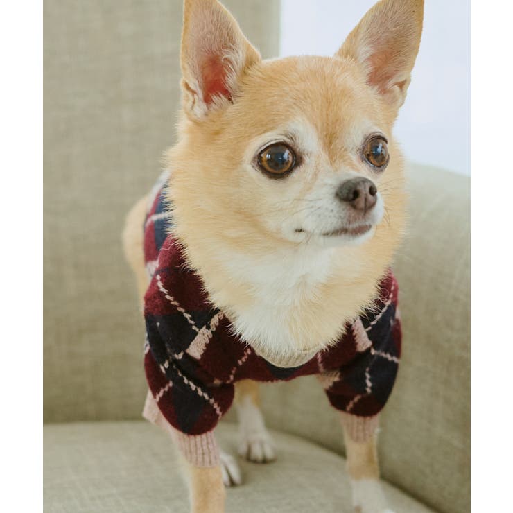 【DOG】アーガイルニットプルオーバー | ROPE' PICNIC | 詳細画像9 