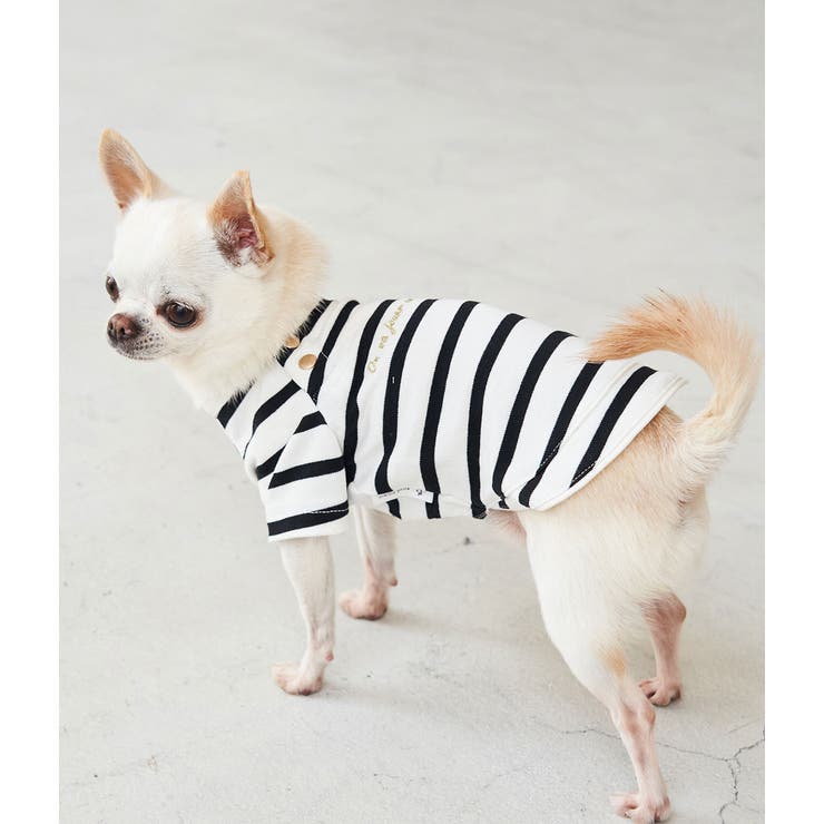 Dog ロゴ刺繍マリンボーダーカットソー 品番 Rpcw Rope Picnic ロペピクニック のレディースファッション 通販 Shoplist ショップリスト Dog ロゴ刺繍マリンボーダーカットソー 品番 Rpcw Rope Picnic ロペピクニック のレディースファッション 通販 Shoplist ショップリスト