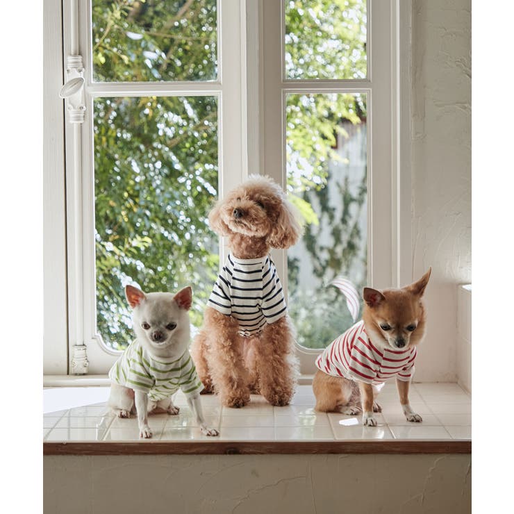 リンクコーデ】【DOG】ボーダーカットソートップス[品番：RPCW0027932