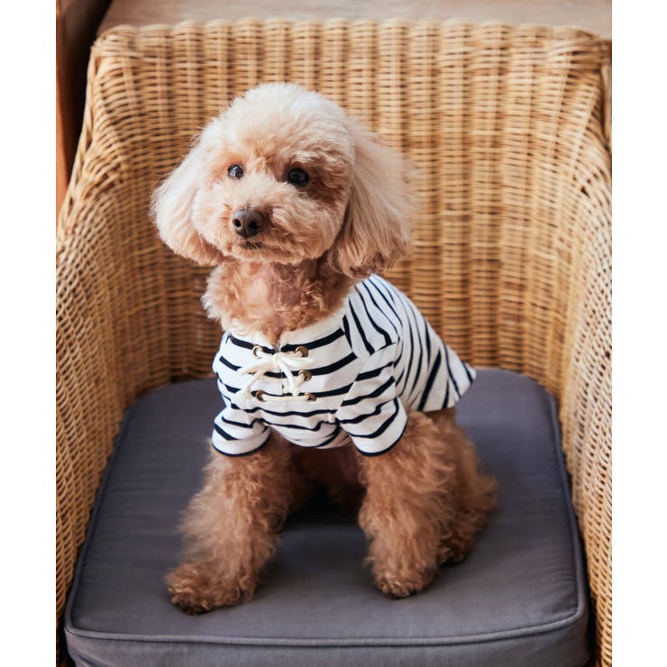 ネイビー(40) | 【DOG】レースアップボーダーカットソー | ROPE' PICNIC
