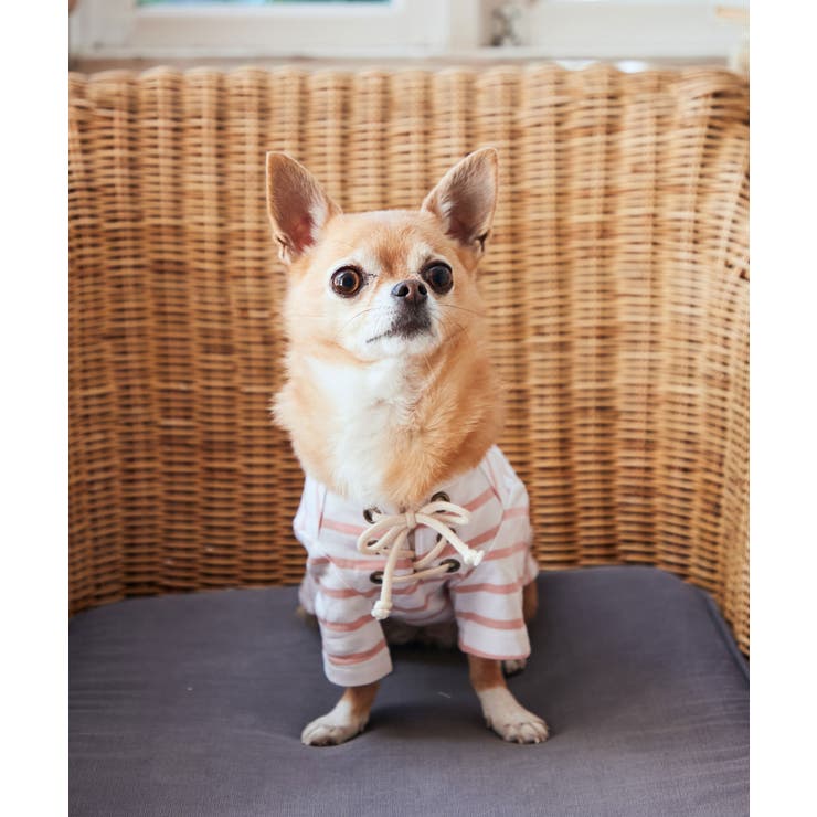 ピンク(63) | 【DOG】レースアップボーダーカットソー | ROPE' PICNIC