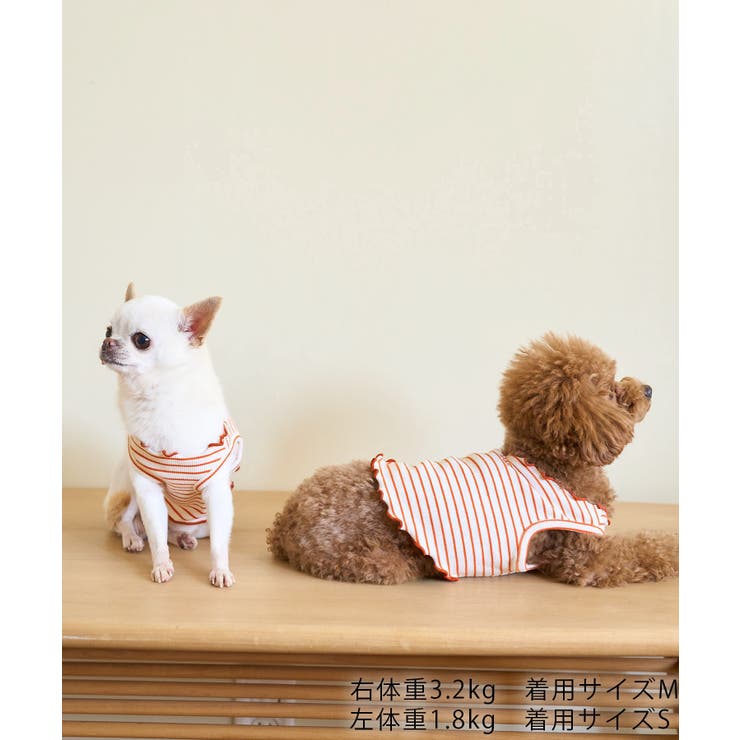 【DOG】マルチメロウボーダートップス/リンクコーデ | ROPE' PICNIC | 詳細画像12 