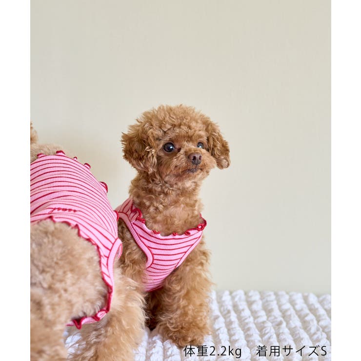 【DOG】マルチメロウボーダートップス/リンクコーデ | ROPE' PICNIC | 詳細画像2 