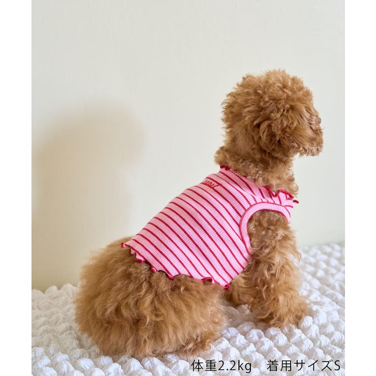 【DOG】マルチメロウボーダートップス/リンクコーデ | ROPE' PICNIC | 詳細画像3 