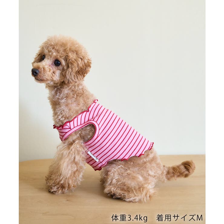 【DOG】マルチメロウボーダートップス/リンクコーデ | ROPE' PICNIC | 詳細画像4 